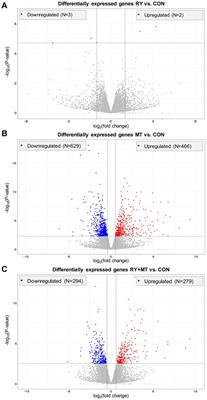 Genetic assessment of the effect of red yeast (Sporidiobolus pararoseus) as a feed additive on mycotoxin toxicity in laying hens